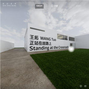 wang tuo